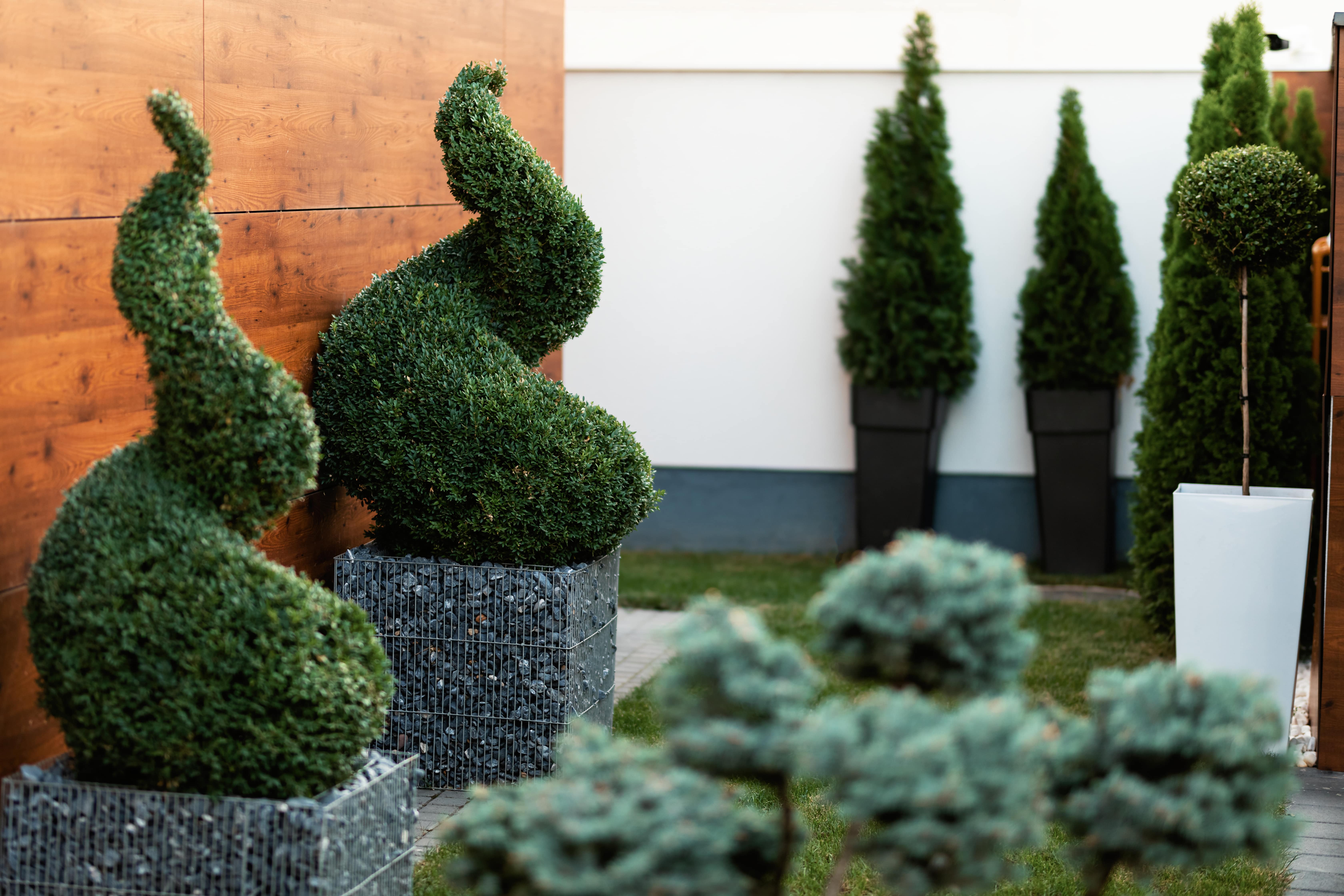 topiary-stiga-min.jpeg