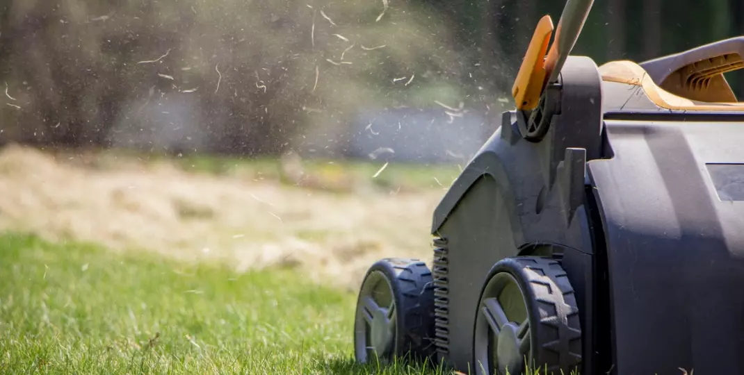 Urządzenia, które pomogą ci przygotować trawnik do nawożenia