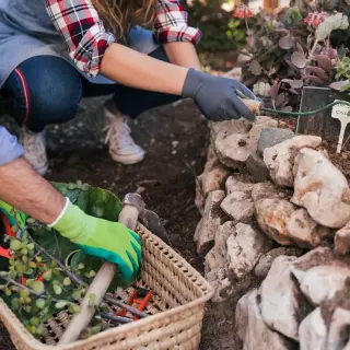 Idealne rośliny na skarpę w ogrodzie. Jakie wybrać i jak zaaranżować?